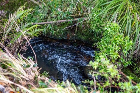 Photo of property in 75a Riddell Road, Kerikeri, 0230