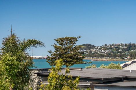 Photo of property in 49 Charles Street, Westshore, Napier, 4110