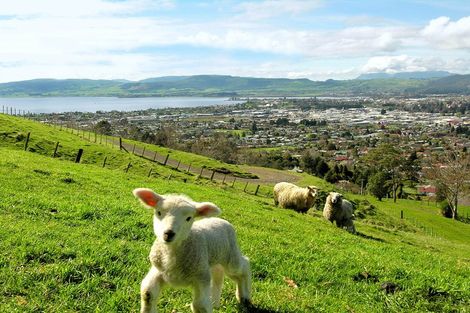 Photo of property in 72 Mountain Road, Western Heights, Rotorua, 3015