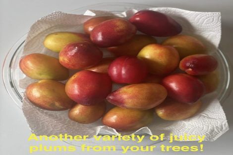 Photo of property in 161 Hautapu Street, Taihape, 4720