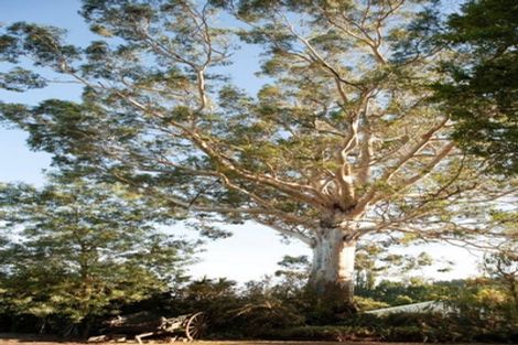 Photo of property in 30 George Street, Rotherham, 7379