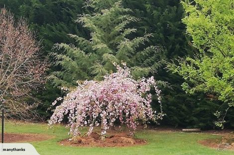 Photo of property in 145 Karanga Road, Dunsandel, Leeston, 7682