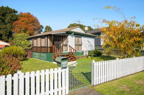 Photo of property in 17 Hibiscus Avenue, Hamilton Lake, Hamilton, 3204