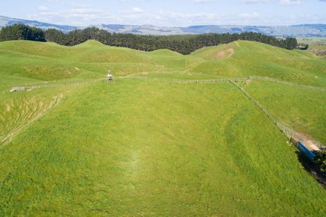 Photo of property in 454 Watershed Road, Bunnythorpe, 4470