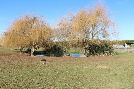 Photo of property in 30 Lucks Road, Waimate, 7980