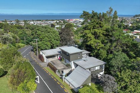 Photo of property in 101 Vernon Street, Thames, 3500