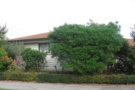 Photo of property in 45 Chippendale Crescent, Highbury, Palmerston North, 4412