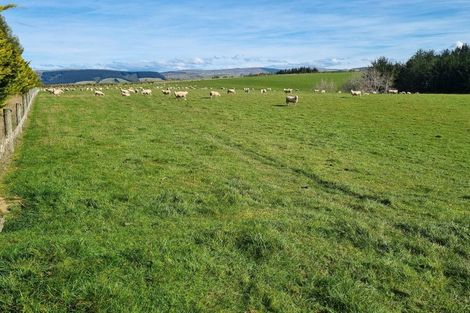 Photo of property in 41 Gray Road, Waitepeka, Balclutha, 9271