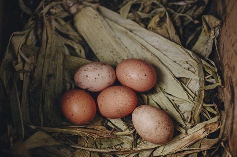 Photo of property in 17 Pekanga Drive, Fox Glacier, 7886