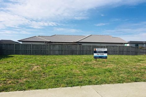 Photo of property in 17 Huamanu Street, Pukekohe, 2120