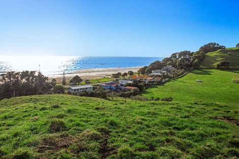 Photo of property in 59 Pohutukawa Drive, Waiotahe, Opotiki, 3198