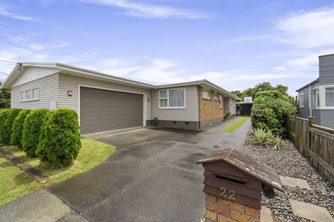 Photo of property in 22 Wellington Street, Feilding, 4702