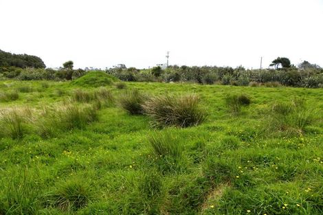 Photo of property in Okuru, Haast, 7886