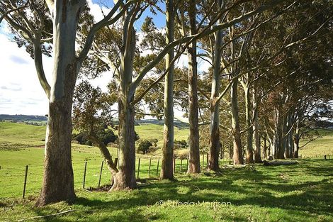 Photo of property in 246 Pahi Road, Pahi, Paparoa, 0571