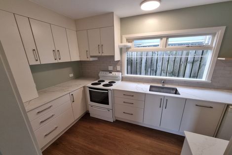 Photo of property in 1/117 Austin Street, Mount Victoria, Wellington, 6011