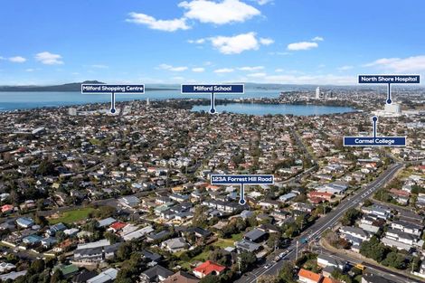 Photo of property in 123a Forrest Hill Road, Forrest Hill, Auckland, 0620