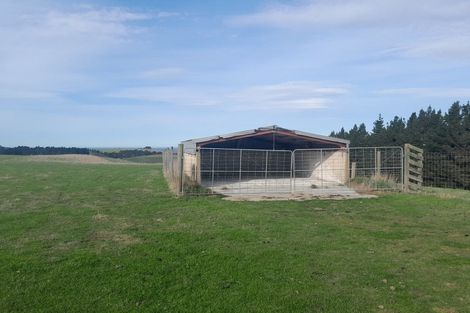 Photo of property in 53 Bushey Park Road, Bushey, Palmerston, 9482