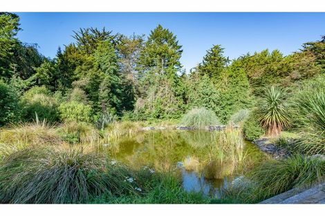 Photo of property in 240 Forestry Road, Ashley, Rangiora, 7477