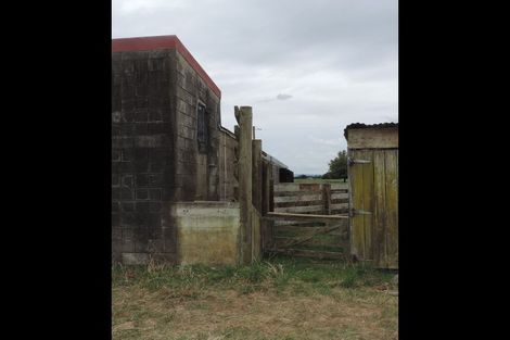 Photo of property in 117 Livingstone Road, Te Poi, Matamata, 3473