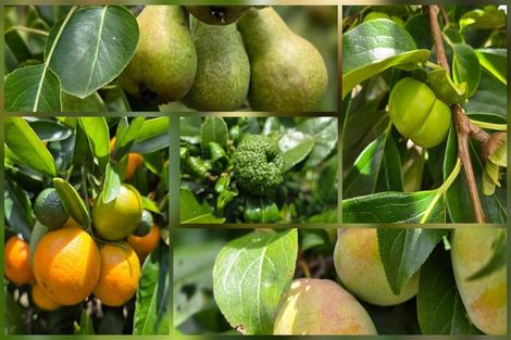 Photo of property in 503 Pickering Road, Tamahere, Hamilton, 3283