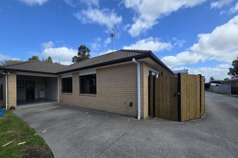 Photo of property in 211a Maungatapu Road, Maungatapu, Tauranga, 3112