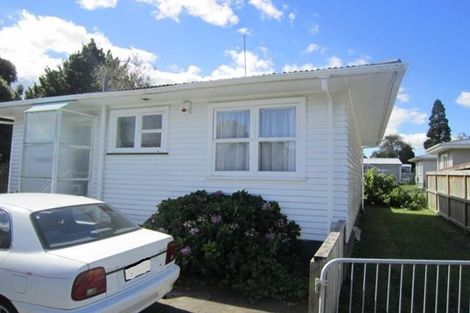 Photo of property in 249a Clarkin Road, Fairfield, Hamilton, 3214