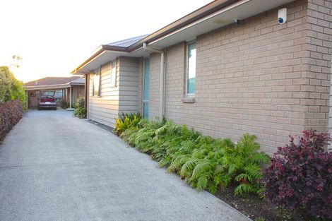 Photo of property in 31 Mortlake Heights, Pyes Pa, Tauranga, 3112