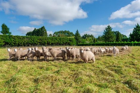 Photo of property in 592 Finlays Road, West Melton, Christchurch, 7675