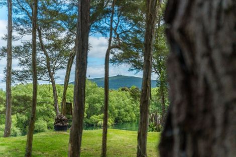 Photo of property in 955 River Road, Broadlands, Reporoa, 3081