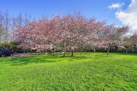 Photo of property in 1158 Tauwhare Road, Tauwhare, Hamilton, 3287