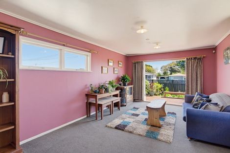 Photo of property in 3 Armagh Street, Levin, 5510
