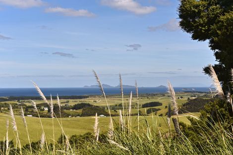 Photo of property in 79 Rangiuru Drive, Parua Bay, Onerahi, 0192