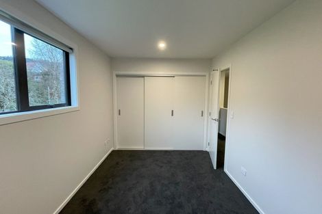 Photo of property in 16 Peter Street, Caversham, Dunedin, 9012