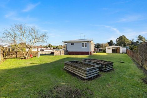 Photo of property in 19 Grey Street, Putaruru, 3411
