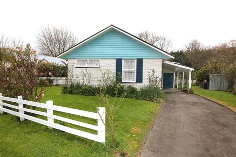 Photo of property in 17 Von Dadelszen Place, Havelock North, 4130