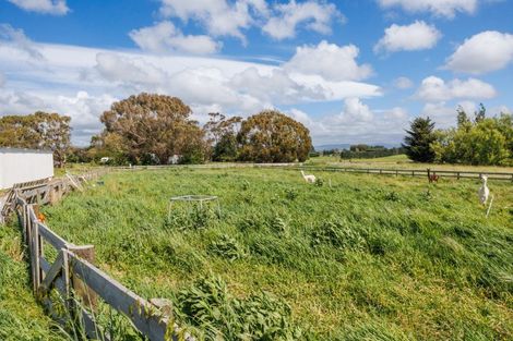 Photo of property in 247 Te Ngaio Road, Bunnythorpe, Palmerston North, 4478
