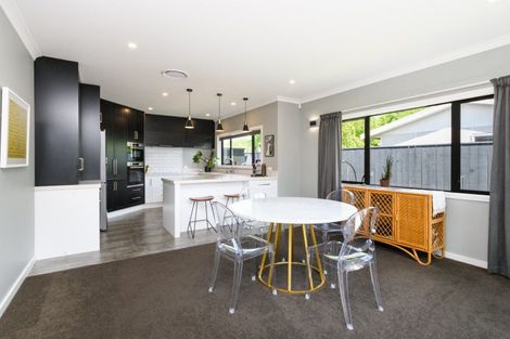 Photo of property in 14a Colombo Street, Hokowhitu, Palmerston North, 4410