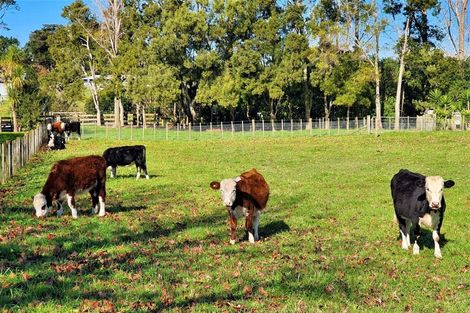 Photo of property in 31 Ward Road, Matakana, Warkworth, 0985