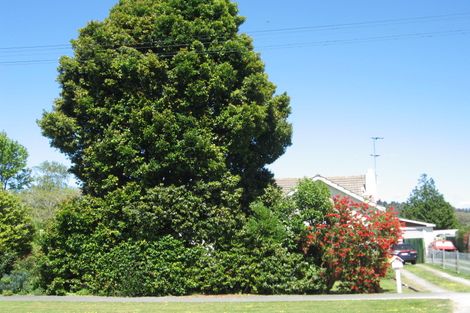 Photo of property in 10 Turenne Street, Inner Kaiti, Gisborne, 4010