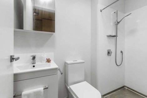 Photo of property in Vedado Apartments, 208/41 Hopper Street, Mount Cook, Wellington, 6011