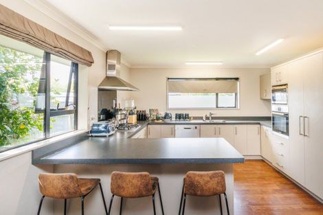 Photo of property in 346 Ruahine Street, Terrace End, Palmerston North, 4410