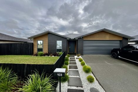 Photo of property in 103 Edward Street, Lincoln, 7608