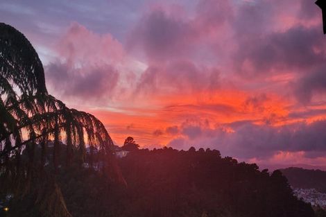 Photo of property in 152 Raroa Road, Aro Valley, Wellington, 6012