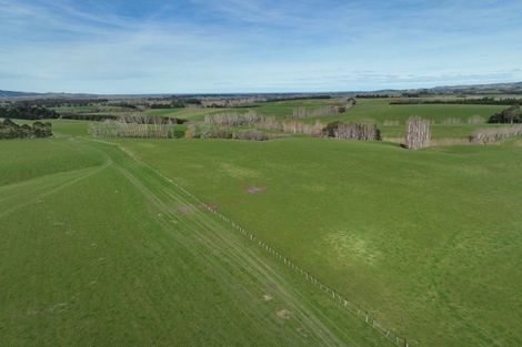 Photo of property in 41 Gray Road, Waitepeka, Balclutha, 9271
