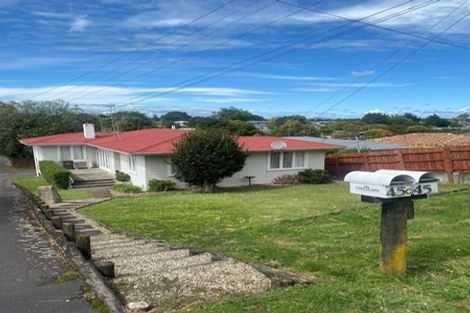 Photo of property in 45 Mahoe Street, Melville, Hamilton, 3206