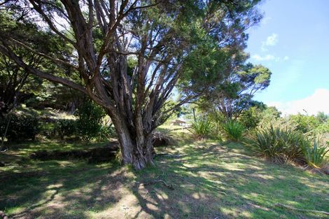 Photo of property in 6 Pohutukawa Grove, Whitianga, 3510