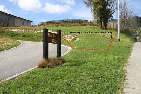 Photo of property in 2 Broadview Way, Richmond, 7020