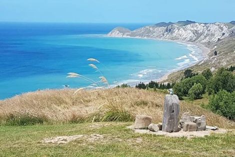 Photo of property in 919 Mangakuri Road, Elsthorpe, 4295