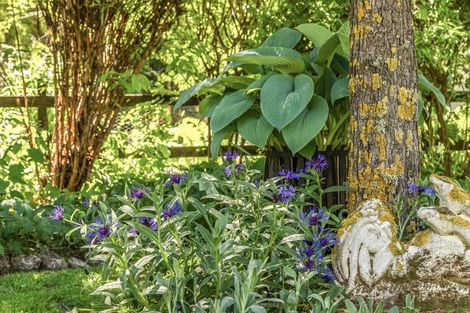 Photo of property in 426 Aubrey Road, Wanaka, 9305