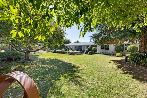 Photo of property in 65a Vogel Street, Cambridge, 3434